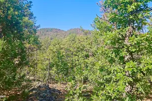 29 Co Rd 3199 --, Vernon, AZ 85940 - Photo 1