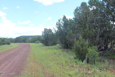 29 Co Rd 3199 -- #-, Vernon, AZ 85940 - Photo 5