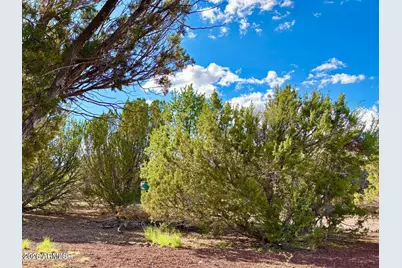 29 Co Rd 3199 -- #-, Vernon, AZ 85940 - Photo 7