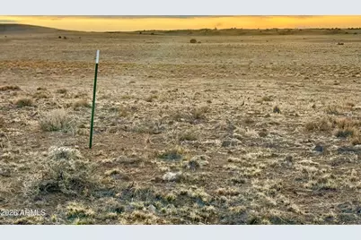 Tbd Co Rd N5209 36.3Acres -- #-, Concho, AZ 85924 - Photo 19