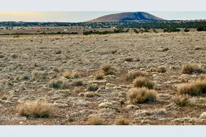 Tbd Co Rd N5209 36.3Acres -- #-, Concho, AZ 85924 - Photo 21