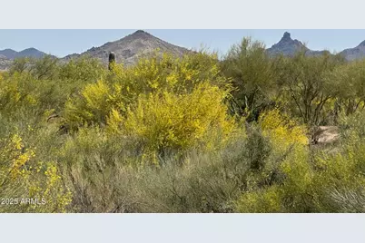 37353 N 105th Place #81, Scottsdale, AZ 85262 - Photo 3