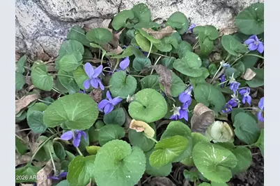 547 N Montezuma Castle Highway, Camp Verde, AZ 86322 - Photo 31