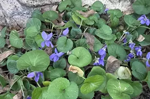 547 N Montezuma Castle Hwy, Camp Verde, AZ 86322 - Photo 31