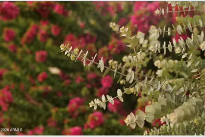 1369 S Monterey Street, Gilbert, AZ 85233 - Photo 31