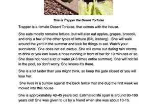 25767 N 67th Dr, Peoria, AZ 85383 - Photo 59