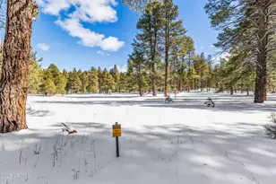 2175 S Eagle Creek Ln, Williams, AZ 86046 - Photo 23