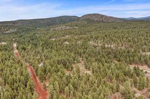 2175 S Eagle Creek Ln, Williams, AZ 86046 - Photo 43