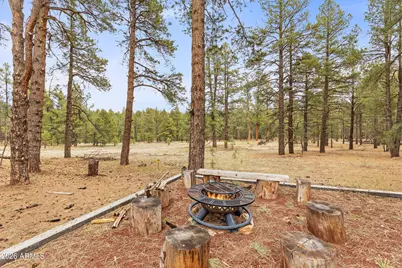 2175 S Eagle Creek Lane, Williams, AZ 86046 - Photo 3