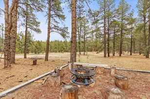 2175 S Eagle Creek Ln, Williams, AZ 86046 - Photo 3