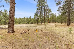 2175 S Eagle Creek Ln, Williams, AZ 86046 - Photo 35