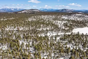 2175 S Eagle Creek Ln, Williams, AZ 86046 - Photo 37