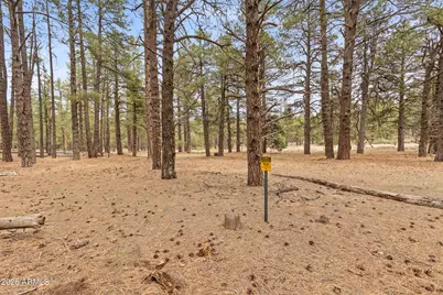 2175 S Eagle Creek Lane, Williams, AZ 86046 - Photo 35