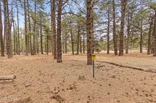 2175 S Eagle Creek Ln, Williams, AZ 86046 - Photo 35
