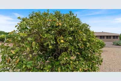 9635 W Appaloosa Drive, Sun City, AZ 85373 - Photo 23