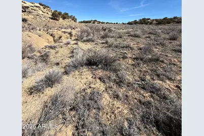 310 N County Road 6726 -- #430, Saint Johns, AZ 85936 - Photo 33
