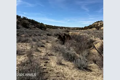 310 N County Road 6726 -- #430, Saint Johns, AZ 85936 - Photo 35