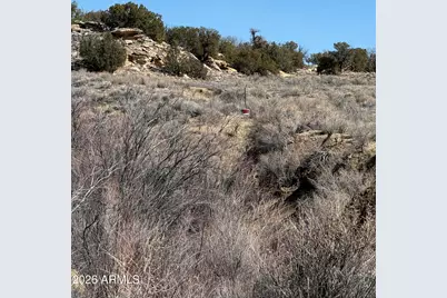 310 N County Road 6726 -- #430, Saint Johns, AZ 85936 - Photo 31