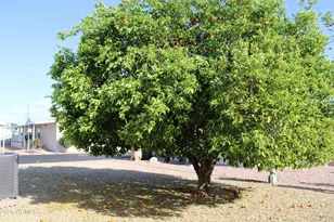 11596 W Sierra Dawn Blvd, Surprise, AZ 85378 - Photo 27