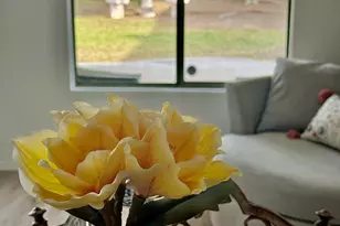 6312 W Villa Linda Dr, Glendale, AZ 85310 - Photo 13