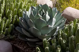 9795 E Forgotten Hills Dr, Scottsdale, AZ 85262 - Photo 63