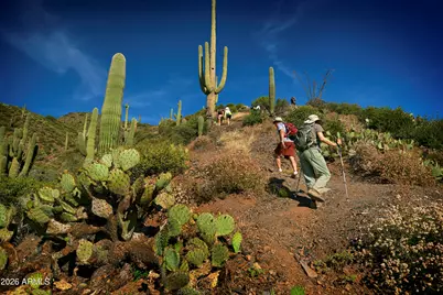 9795 E Forgotten Hills Drive, Scottsdale, AZ 85262 - Photo 107