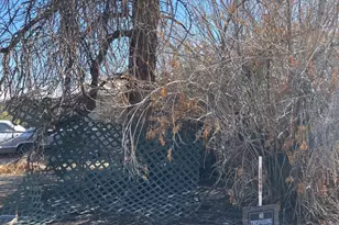 2138 E Desert Ln, Phoenix, AZ 85042 - Photo 5