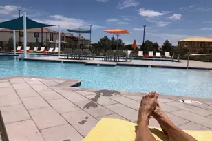 1784 S Senate St, Chandler, AZ 85286 - Photo 9