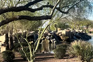 3824 W Desert Creek Ln, Phoenix, AZ 85086 - Photo 21