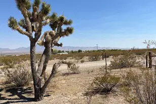 Xxxxxx N Becky Rd, Dolan Springs, AZ 86441 - Photo 1