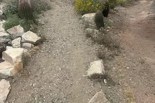 16666 S 21st St, Phoenix, AZ 85048 - Photo 31