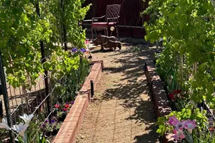 1385 Mountain Rd, Clarkdale, AZ 86324 - Photo 51