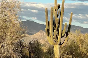 29015 N 168th St, Rio Verde, AZ 85263 - Photo 53