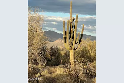 29015 N 168th Street, Rio Verde, AZ 85263 - Photo 51