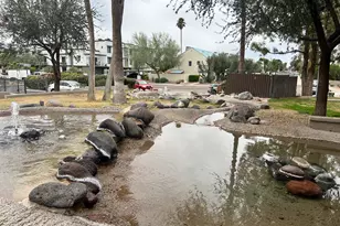 7777 E Main St, Scottsdale, AZ 85251 - Photo 17