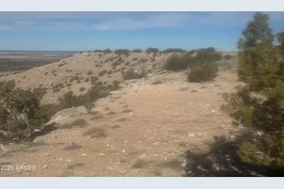 Lot 137 River Springs Ranch -- #137, Saint Johns, AZ 85936 - Photo 9