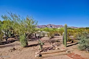 10653 E Sleepy Hollow Trail, Gold Canyon, AZ 85118 - Photo 5