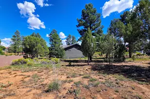 4780/4800 W Mountain Hollow Loop, Show Low, AZ 85901 - Photo 7