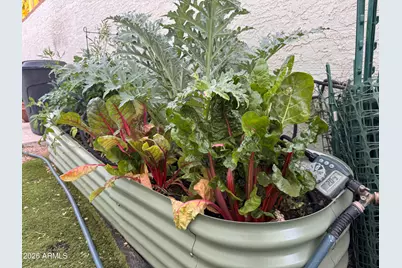 7660 E Highland Avenue, Scottsdale, AZ 85251 - Photo 9