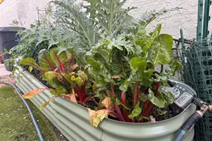 7660 E Highland Ave, Scottsdale, AZ 85251 - Photo 9