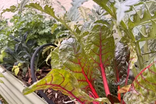 7660 E Highland Ave, Scottsdale, AZ 85251 - Photo 57