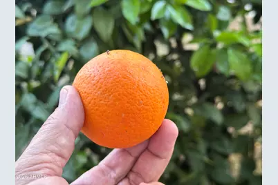 7660 E Highland Avenue, Scottsdale, AZ 85251 - Photo 51