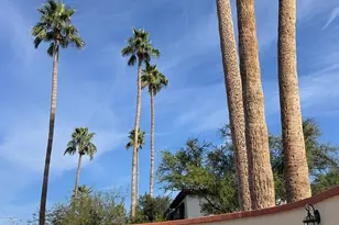 7660 E Highland Ave, Scottsdale, AZ 85251 - Photo 5