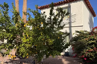 7660 E Highland Ave, Scottsdale, AZ 85251 - Photo 19