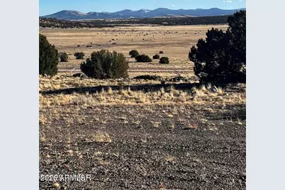 0 8626 -- #38, Concho, AZ 85924 - Photo 5