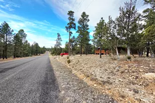 3052 Durango Dr, Happy Jack, AZ 86024 - Photo 25