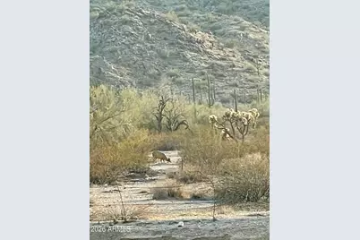 653 S Hidden Valley Road, Maricopa, AZ 85139 - Photo 29