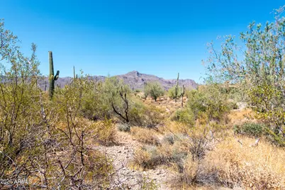 4782 S Pura Vida Way #1, Gold Canyon, AZ 85118 - Photo 11