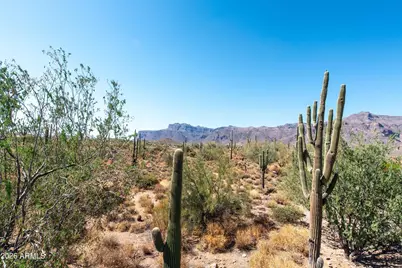 4782 S Pura Vida Way #1, Gold Canyon, AZ 85118 - Photo 9