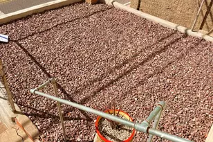 725 Tombstone Canyon, Bisbee, AZ 85603 - Photo 9